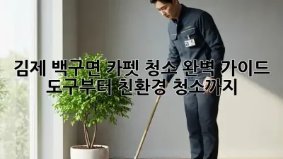김제 백구면 카펫 청소 완벽 가이드: 도구부터 친환경 청소까지!